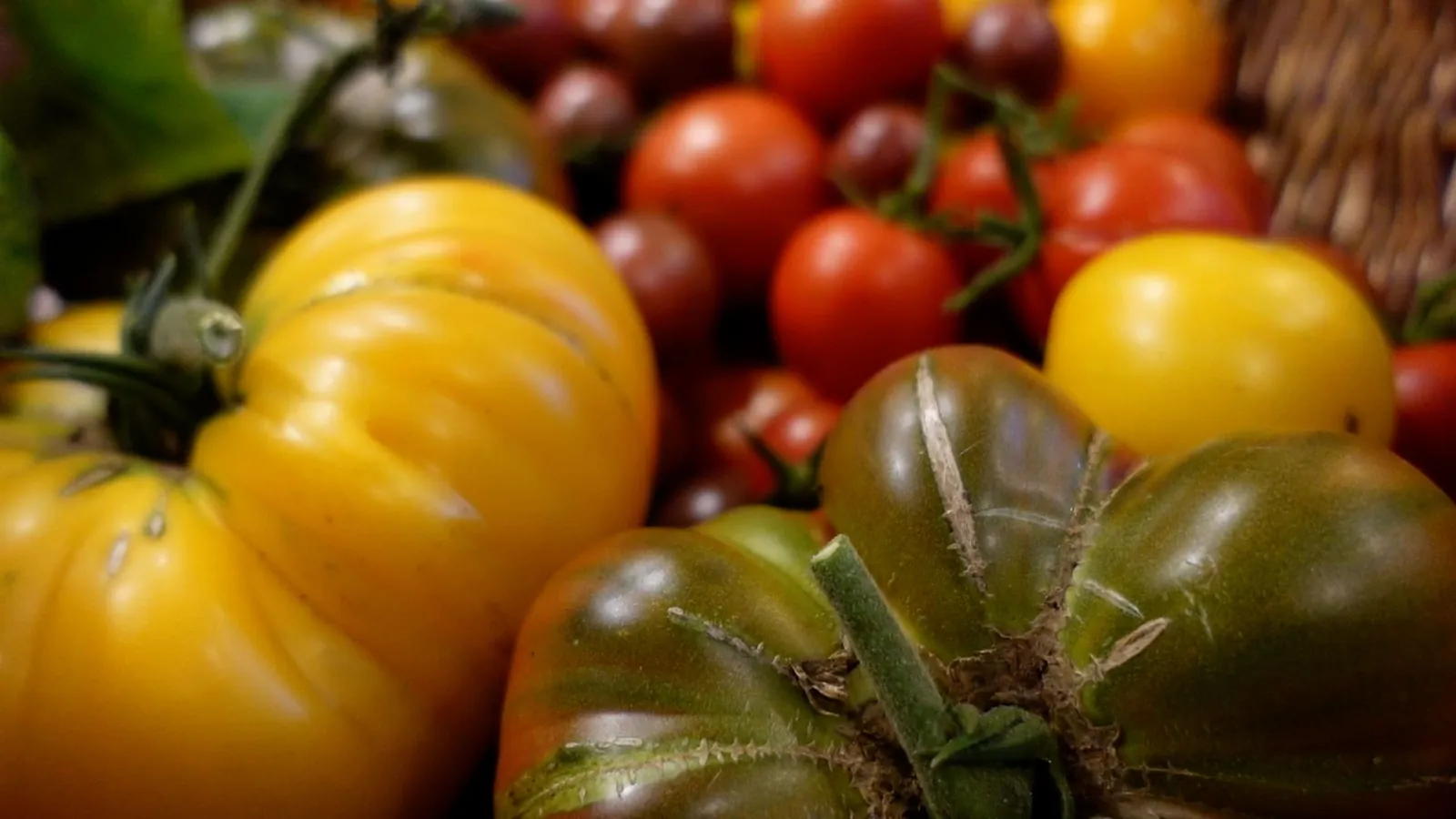 Rezept: Die beste Tomatensauce der Welt